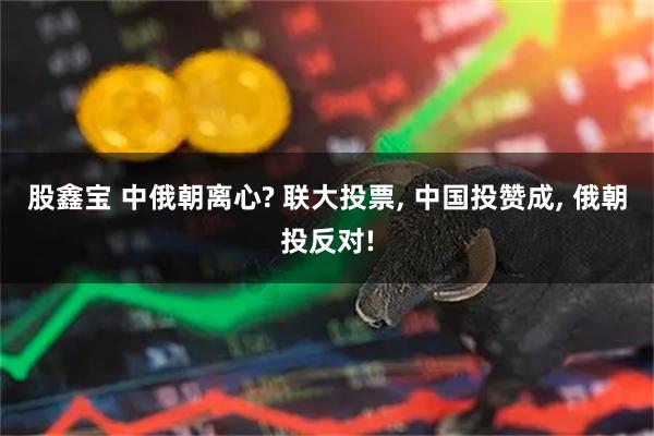 股鑫宝 中俄朝离心? 联大投票, 中国投赞成, 俄朝投反对!