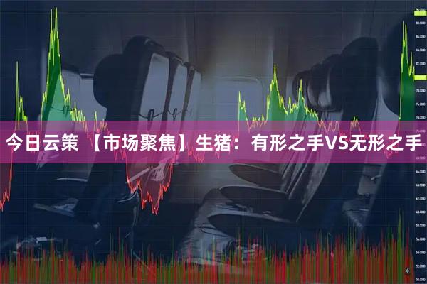 今日云策 【市场聚焦】生猪：有形之手VS无形之手