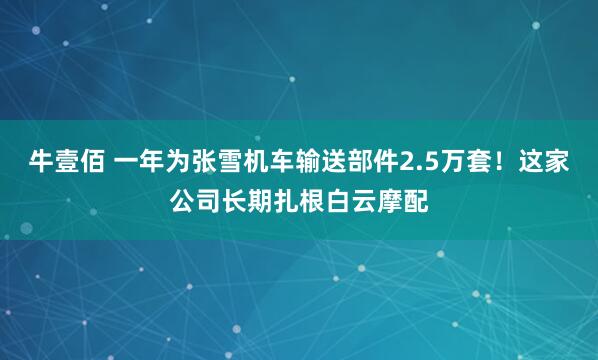 牛壹佰 一年为张雪机车输送部件2.5万套！这家公司长期扎根白云摩配