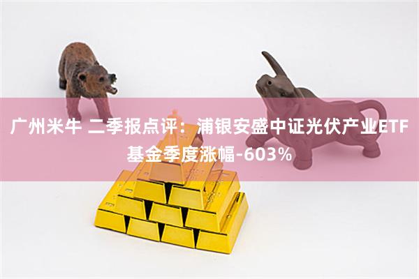 广州米牛 二季报点评：浦银安盛中证光伏产业ETF基金季度涨幅-603%