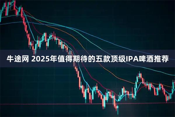 牛途网 2025年值得期待的五款顶级IPA啤酒推荐