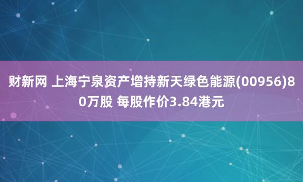 财新网 上海宁泉资产增持新天绿色能源(00956)80万股 每股作价3.84港元